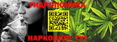 индика Канаш