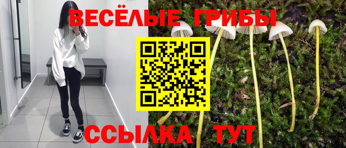 Псилоцибиновые грибы GOLDEN TEACHER Фролово